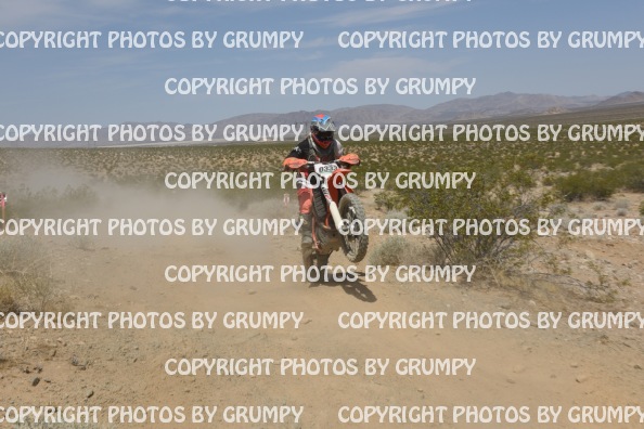 ruts25sat