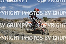 ruts25youth