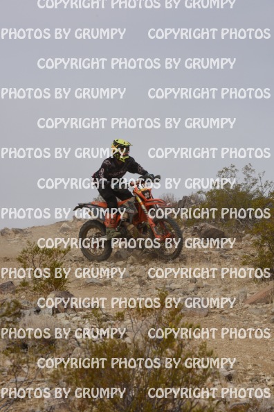 bdgr25loopB