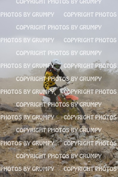 bdgr25loopB