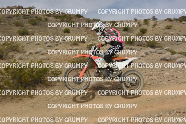 ruts25sun