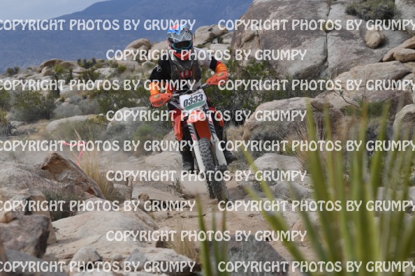 ruts25sun