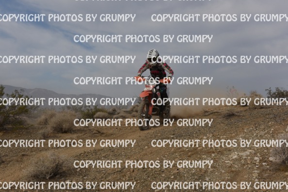 ruts25sun