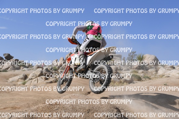 ruts25sat