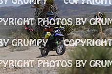 ruts25youth