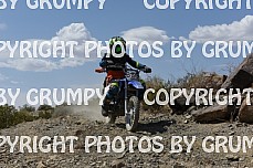 ruts25youth