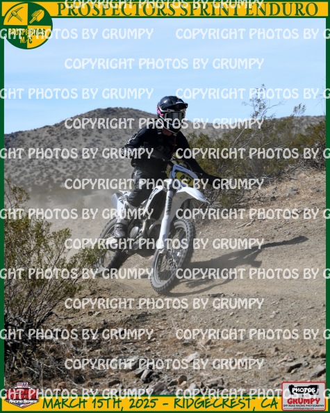 March 2025 copy