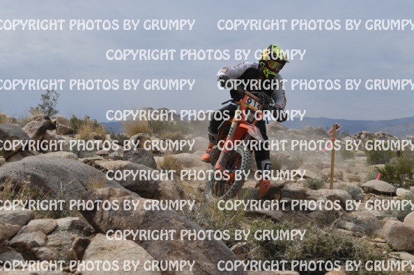 ruts25sun