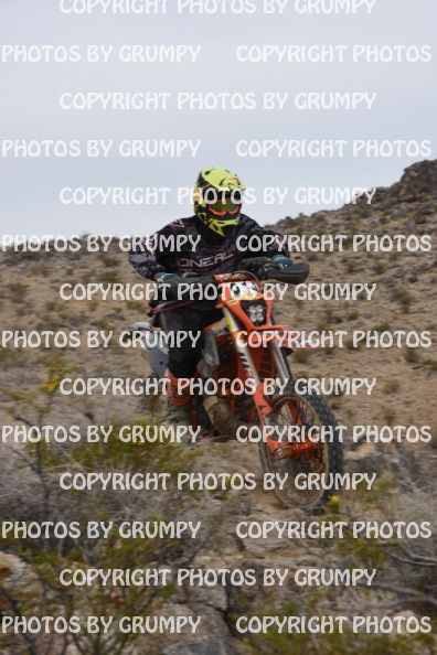 bdgr25loopB