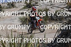 ruts25youth