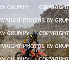 bdgr25loopB