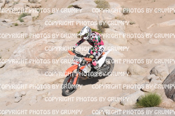 ruts25sat