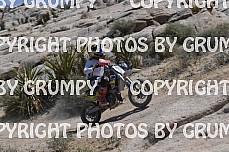 ruts25youth