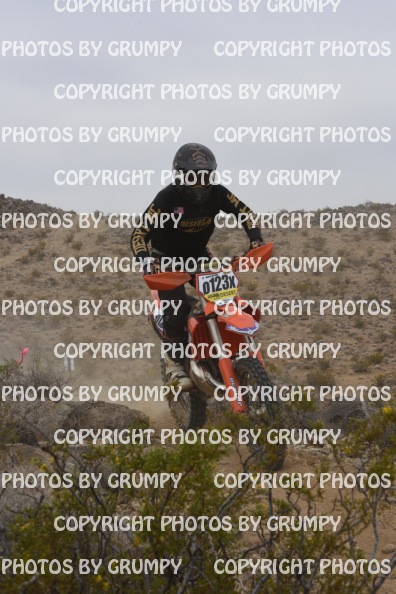bdgr25loopB