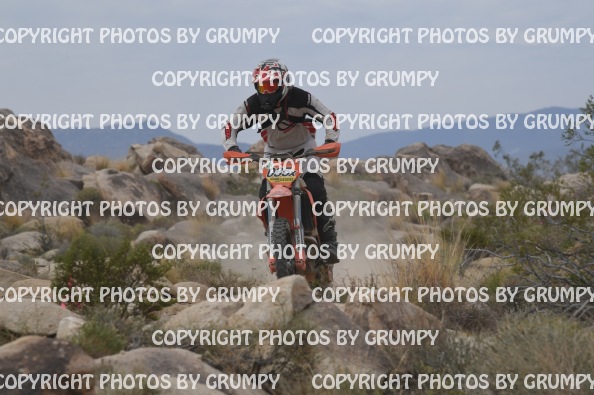 ruts25sun
