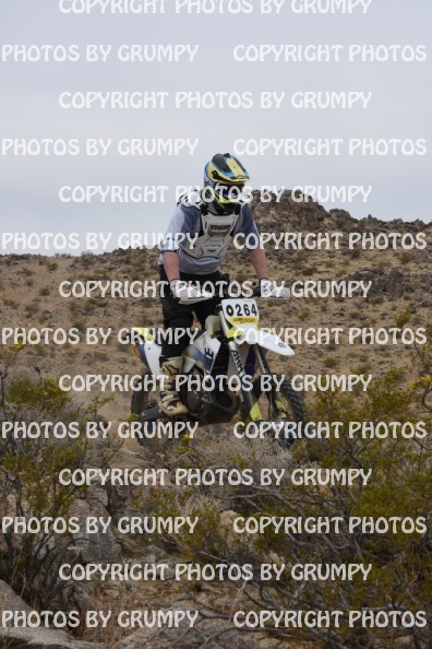 bdgr25loopB