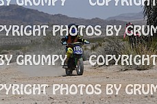 ruts25youth