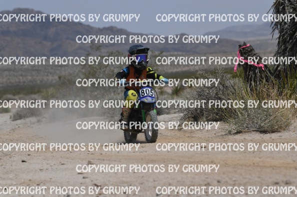 ruts25youth