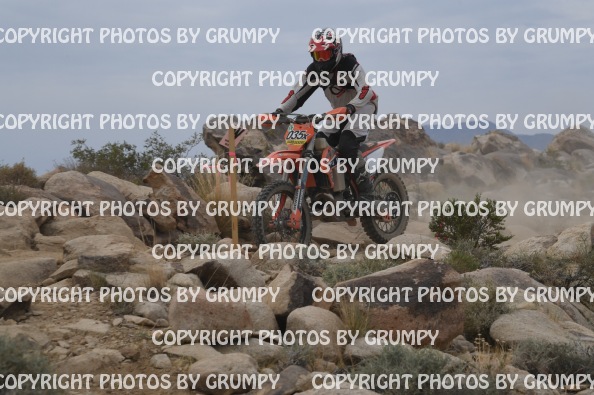 ruts25sun