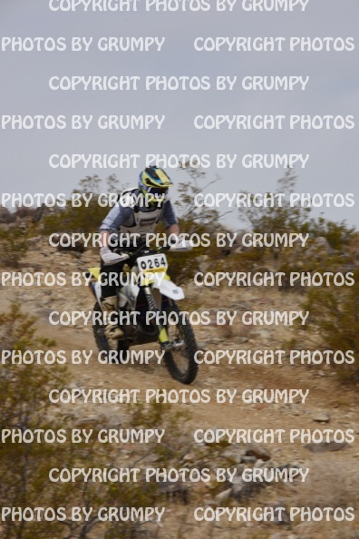 bdgr25loopB