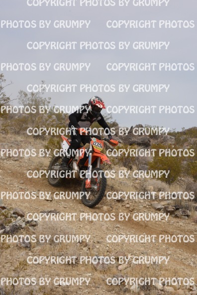 bdgr25loopB