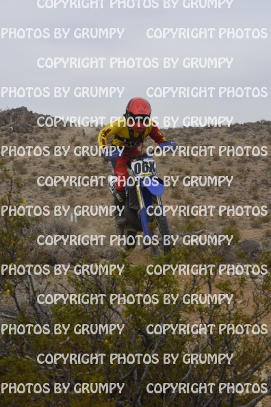 bdgr25loopB