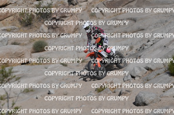 ruts25sat