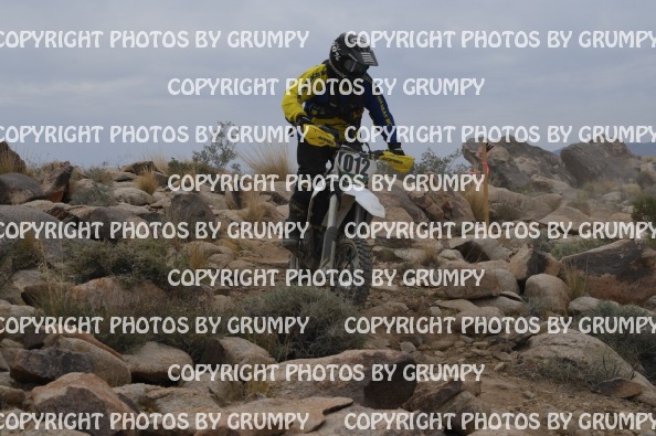 ruts25sun