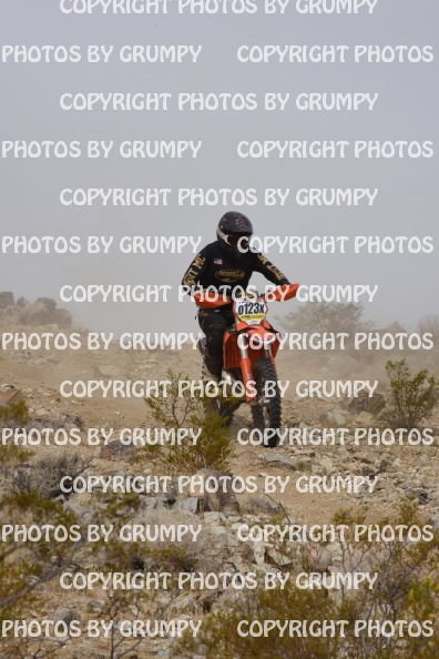 bdgr25loopB