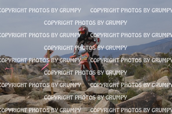 ruts25sun