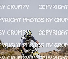 bdgr25loopB