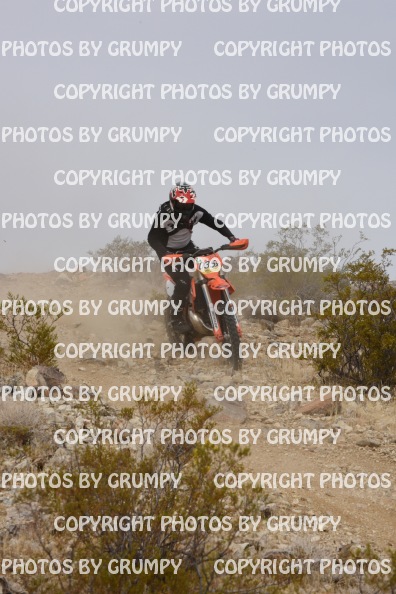 bdgr25loopB