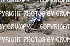ruts25youth