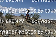 ruts25youth