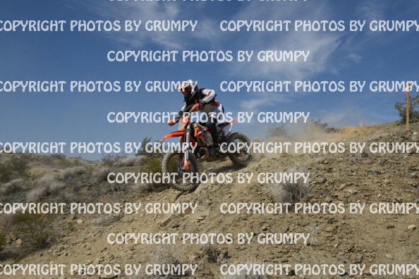 ruts25sat