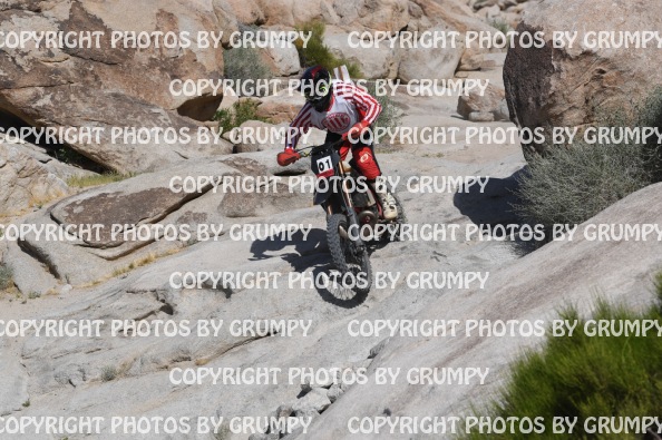 ruts25sat