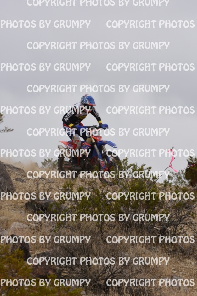bdgr25loopB