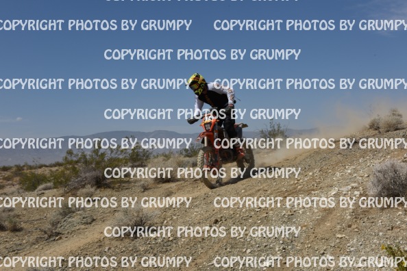 ruts25sat