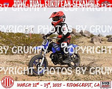 March 2025 copy