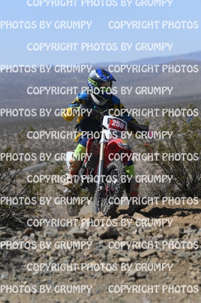 lamc25se
